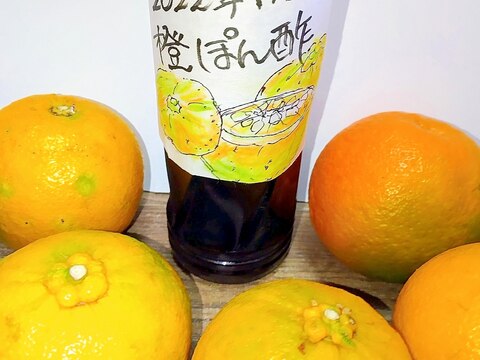 橙☆ポン酢